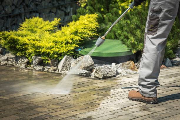Best Driveway Cleaning and Restoration in Oakleaf Plantation, FL