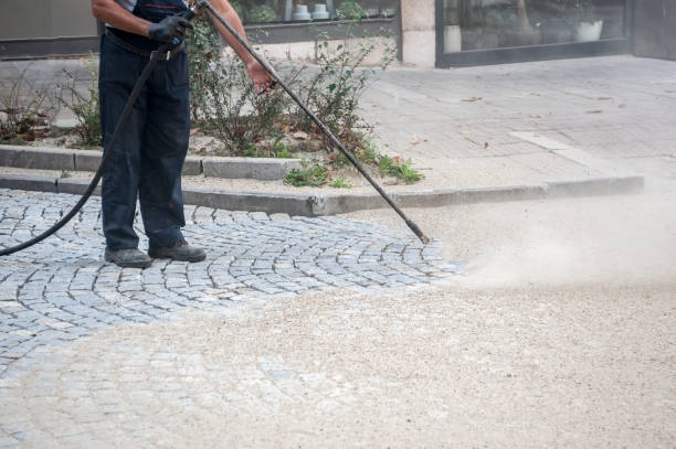 Best Soft Washing for Delicate Surfaces in Oakleaf Plantation, FL